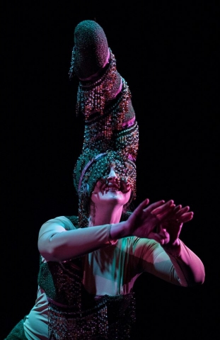 Emma Darwin/Worm Queen, Darwin (world premiere), NewEar and Owen Cox Dance Group, Kansas City, Missouri, 2013